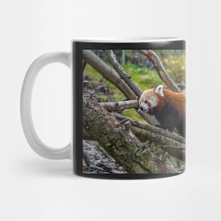 Red Panda Mug